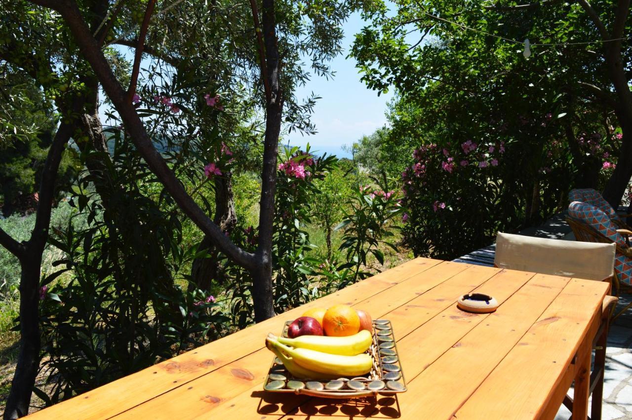 Alikias Country House Panormos (Skopelos) Exterior foto