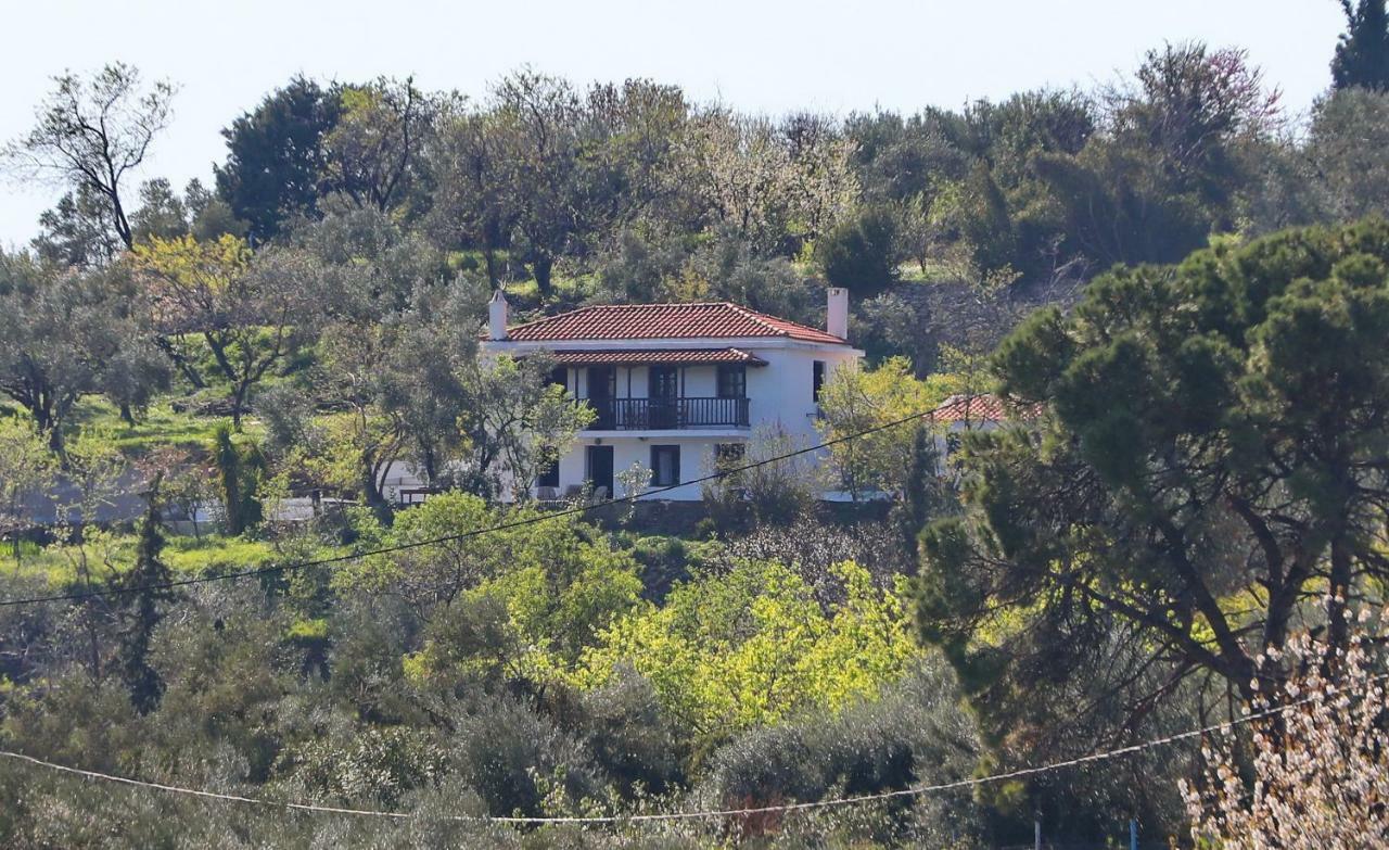 Alikias Country House Panormos (Skopelos) Exterior foto